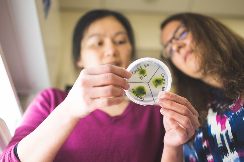 Magdalena Bezanilla and Wu look at a moss plate