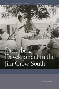 Book Cover of Disturbing Development in the Jim Crow South